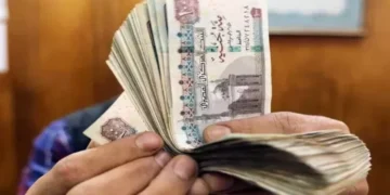 مرتبات