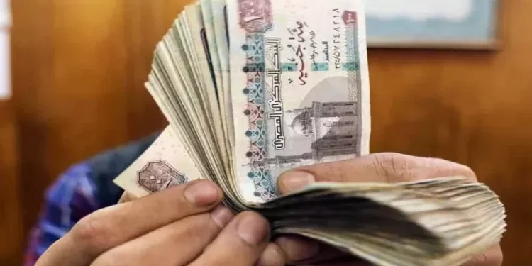مرتبات
