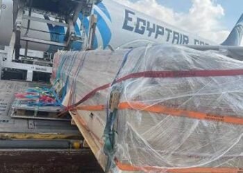 مصر للطيران للشحن الجوي: الشحنات الدوائية واللقاحات تخضع لرعاية ومتابعة خاصة