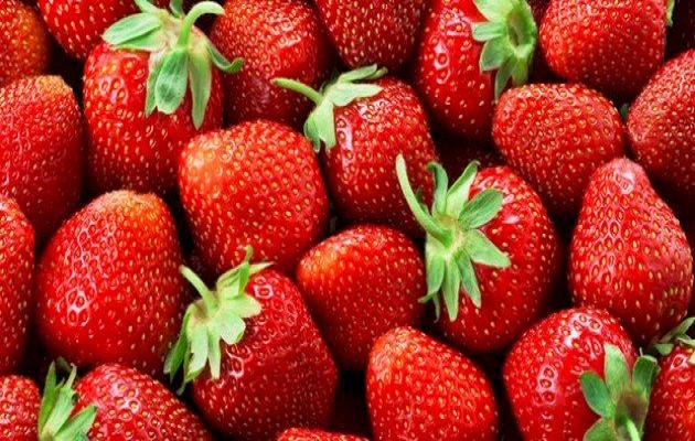 الفراولة