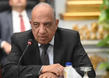 وزير الكهرباء