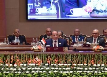 السيسي يدعو لتعزيز التجارة والاستثمار بين دول بريكس وشركائها