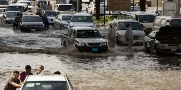 السيول والأمطار الغزيرة.. 1648 منشأة ضمن خطة الري لحماية المدن ودعم الاستدامة