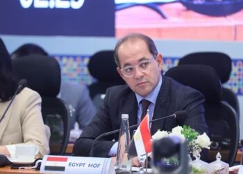 مصر تدعو لدور أكبر لبنك «التنمية الجديد» في توفير التمويل منخفض التكلفة