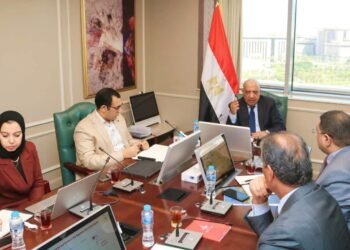 محمود عصمت: تنظيم سوق الكهرباء يدعم الكفاءة والاستدامة المالية