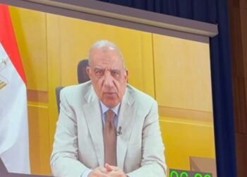 وزير الكهرباء: البرنامج النووي المصري ملتزم بأعلى معايير الأمن والأمان