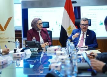 «التخطيط»: تسوية مديونية الوادي الجديد لبنك الاستثمار القومي بـ222.7 مليون جنيه