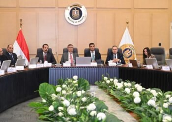 مجلس الوزراء: 20 فرصة استثمارية جديدة بقطاع البترول لدعم التنمية في جنوب مصر