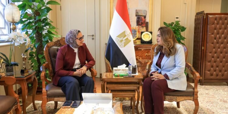 «التنمية المحلية والبيئة» تتابع 321 مشروعًا بـ«حياة كريمة» في الوادي الجديد