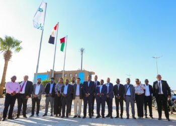 وفد رئاسي من مدغشقر يبحث مع «IDG» نقل التجربة المصرية في المجمعات الصناعية