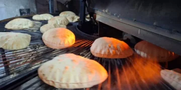 الخبز السياحي