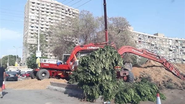 قطع الأشجار