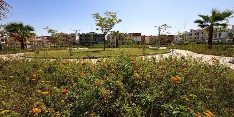 راندة المنشاوي توجه بتسريع تنفيذ مشروعات الإسكان والبنية التحتية بمدن الصعيد الجديدة
