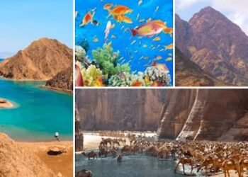 المحميات الطبيعية