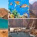 المحميات الطبيعية