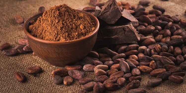 خبير مناخ يحذر: تغير المناخ يهدد إنتاج الكاكاو عالميًا.. الأمطار الغزيرة كلمة السر