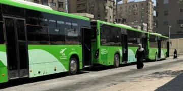 النقل الأخضر في مصر